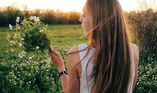 俄罗斯发现编号38的蚊子_