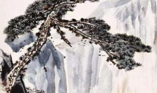 时人不识凌云木什么生肖