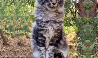 挪威的森林截了一段3分钟