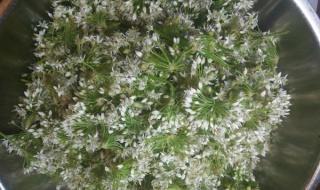 韭菜花的腌制方法及步骤