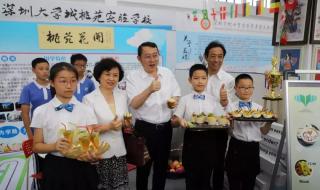 深圳市南山实验学校