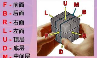 魔方的教程一步一步的教视频