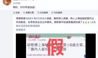 胡歌辟谣与王晓晨结婚