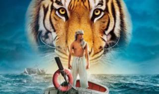 少年派的奇幻漂流高清