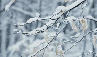 2023最火下雪文案短句