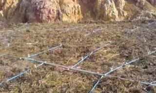 提炼黄金的最简单方法