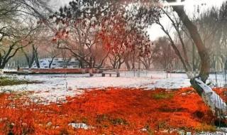 和几个阿姨的美好回忆